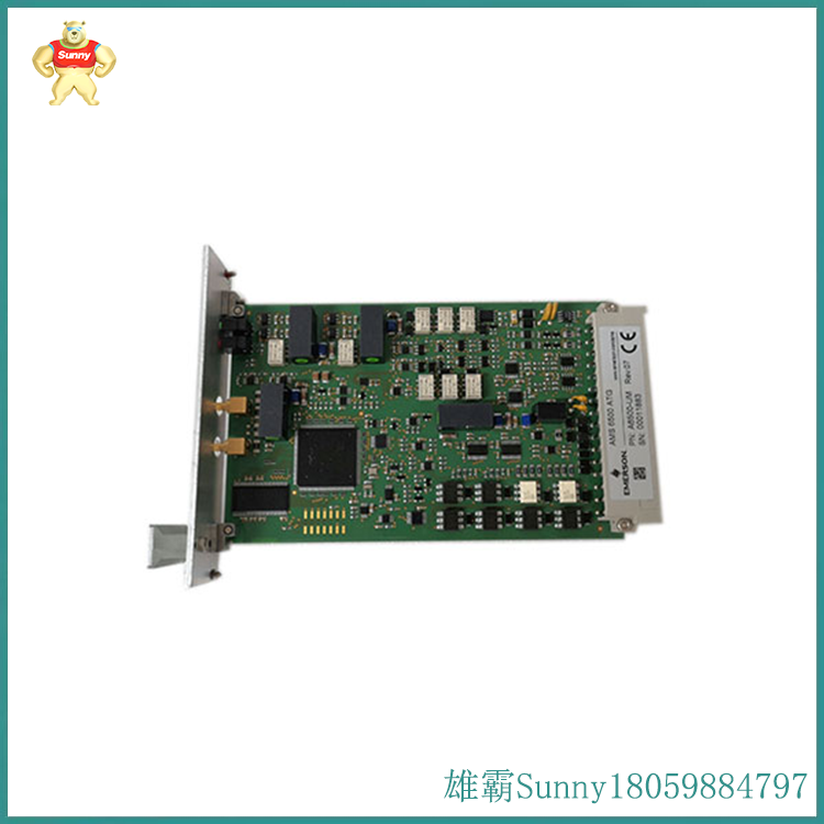 EMERSON   A6500-UM  通用测量卡