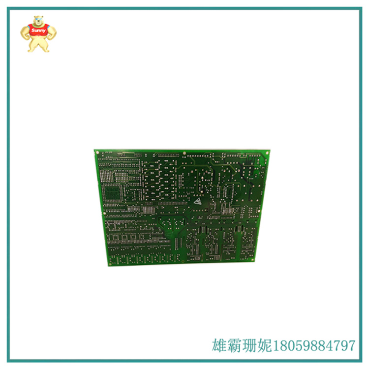DS200DCFBG1BLC 