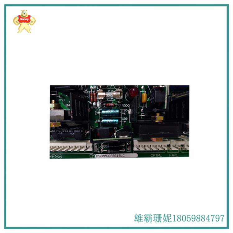 DS200DCFBG1BLC 