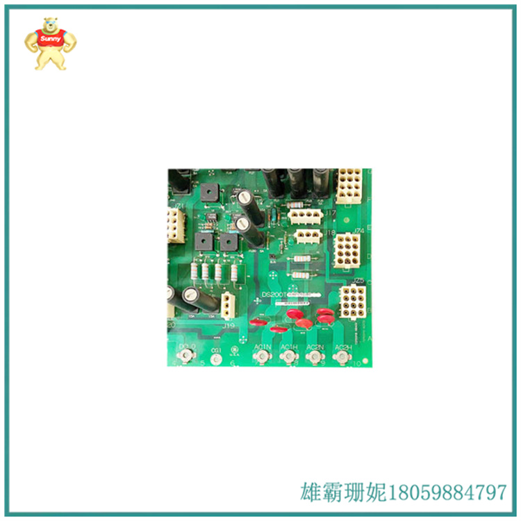 DS200TCPDG1BEC