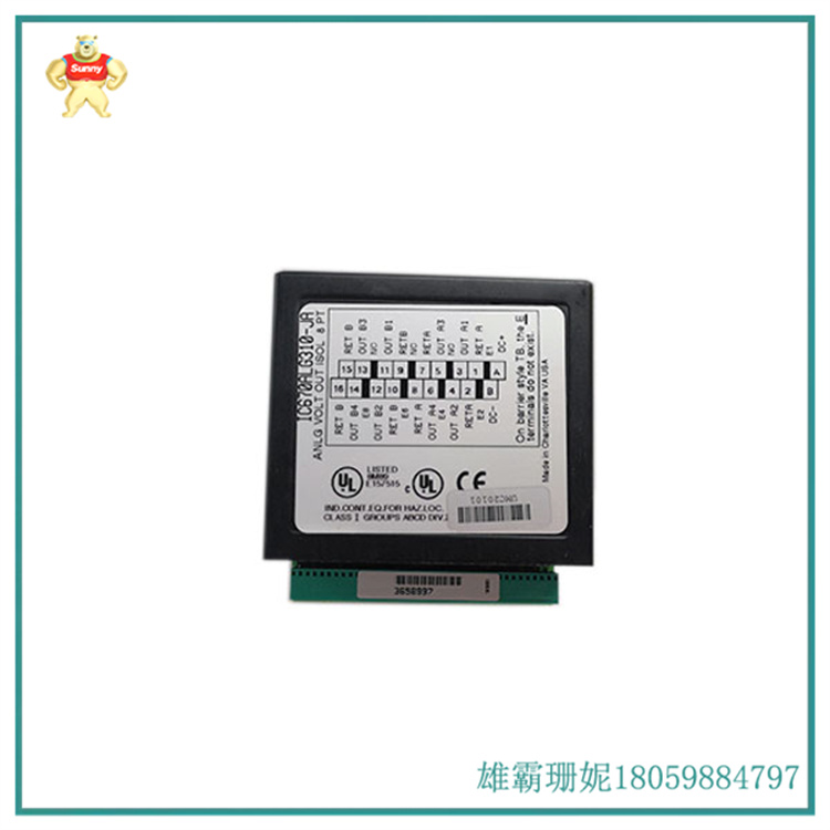  IC670ALG310 