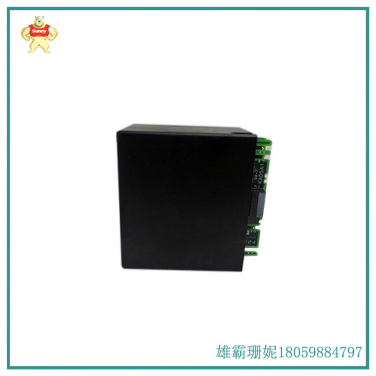  IC670ALG310 