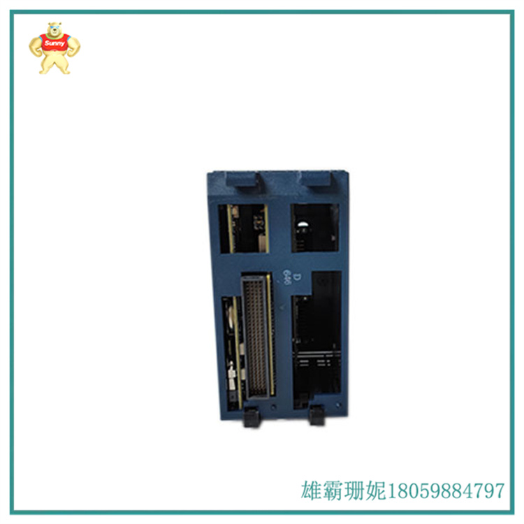  IC695CPE310 