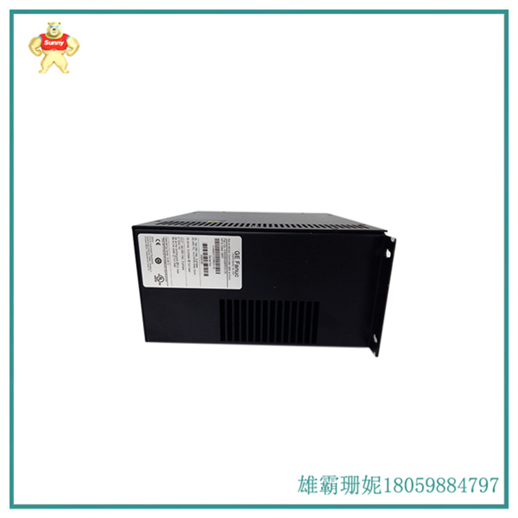 IC800SSI228RD2-CE 