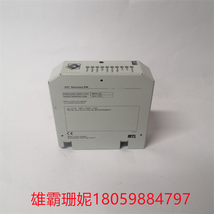  8507-BI-DP  MTL 嵌入式控制器