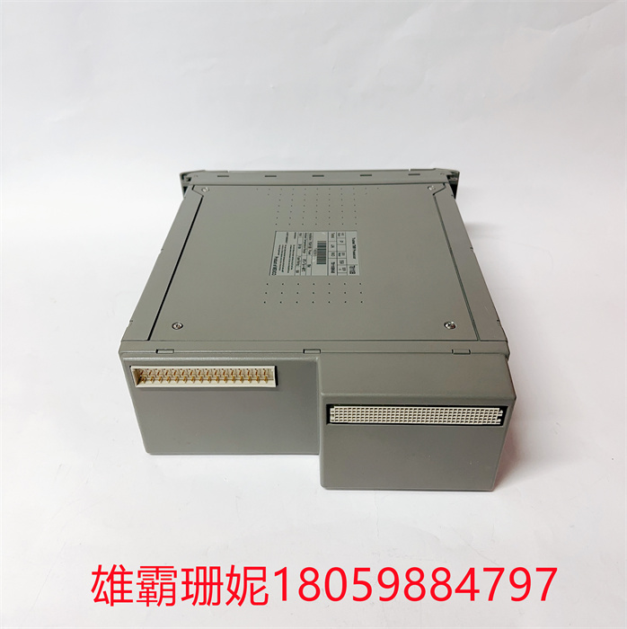 T8110B  ICS TRIPLEX 模块DCS控制系统