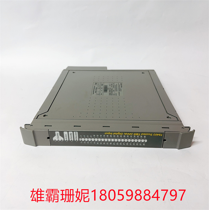 T8403  ICS TRIPLEX 控制系统