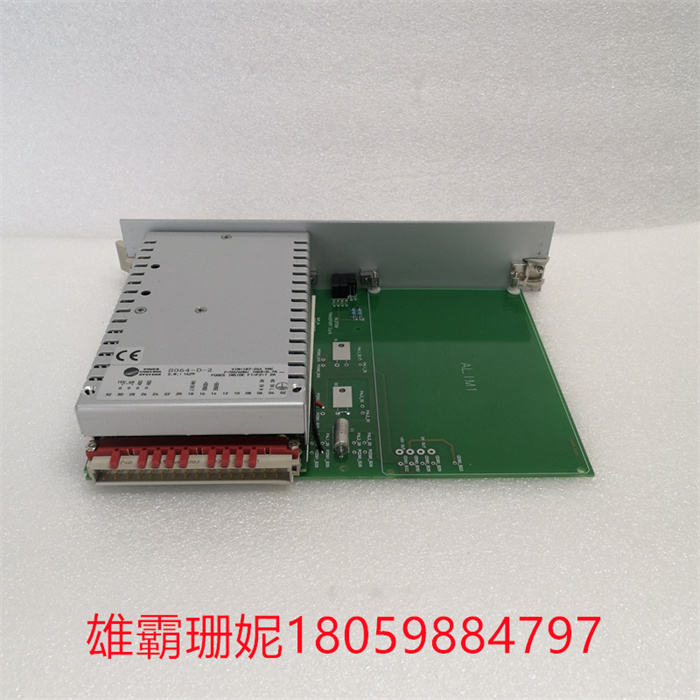 N895313512X ALSTOM脉冲输 出模块热电偶卡件
