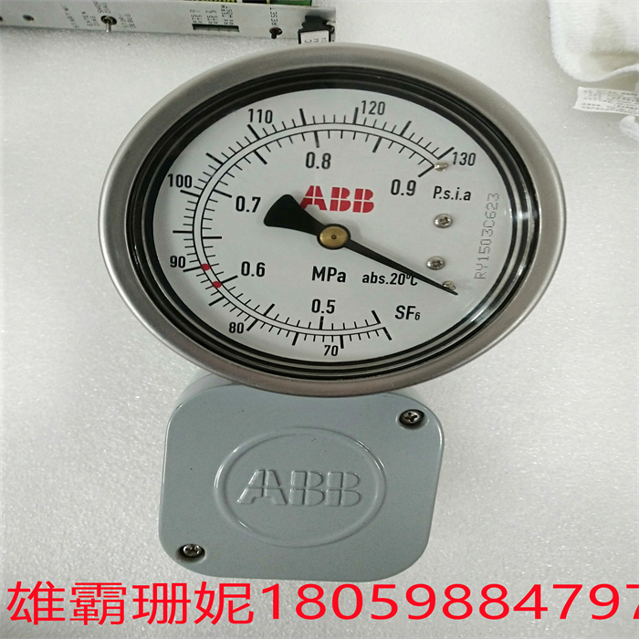 1HSB495663-2  ABB气体密度继电器