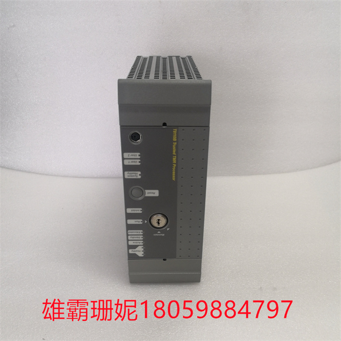 ICS TRIPLEX T8110B 控制系统 自动化设备