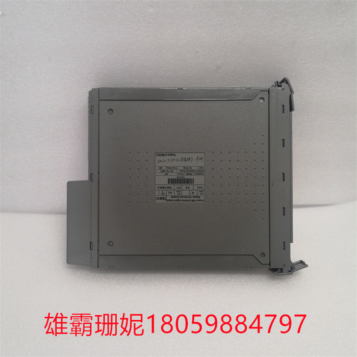 ICS TRIPLEX T8461C (1).jpg