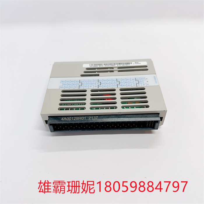 1C31169G02 (3).jpg