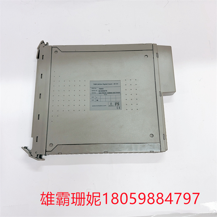 ICS TRIPLEX T8403