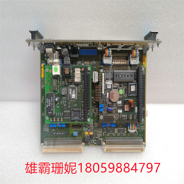 Vibro-meter 200-595-031-111 VM600 CPUM  输出模块