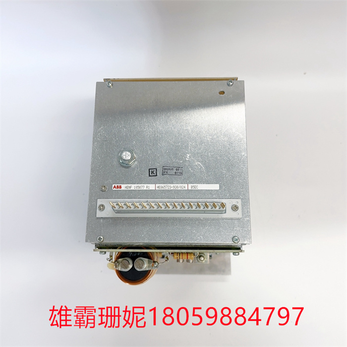 B5EC HENF105077R1 ABB  数据采集模块