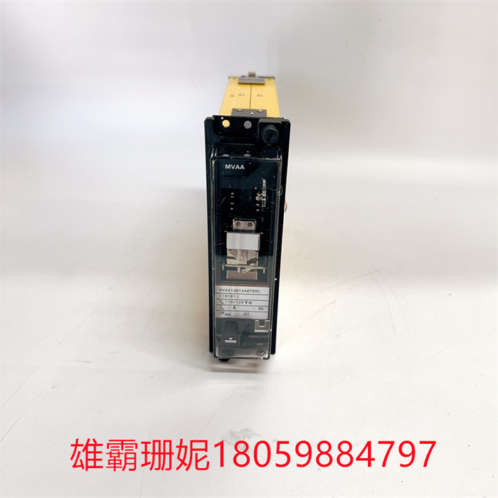 MVAA14B1AA0785C  ALSTHOM 继电器输出