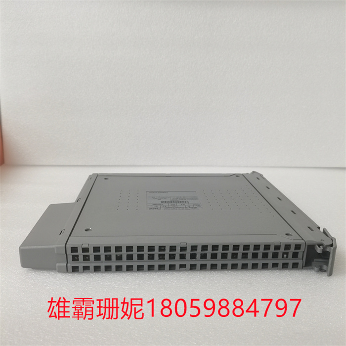 ICS TRIPLEX T8403C PLC模块卡件