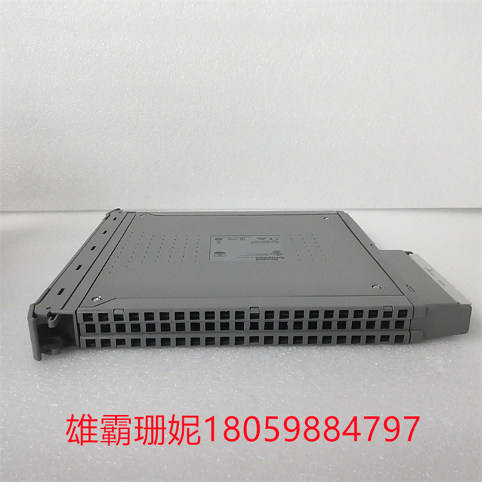 ICS TRIPLEX T8461C  开关量输入模块