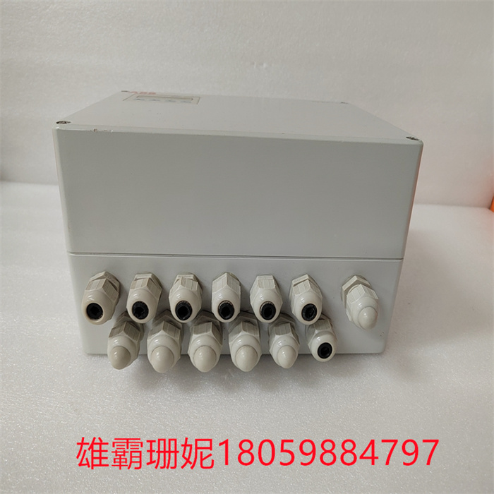 PFEA113(2).jpg
