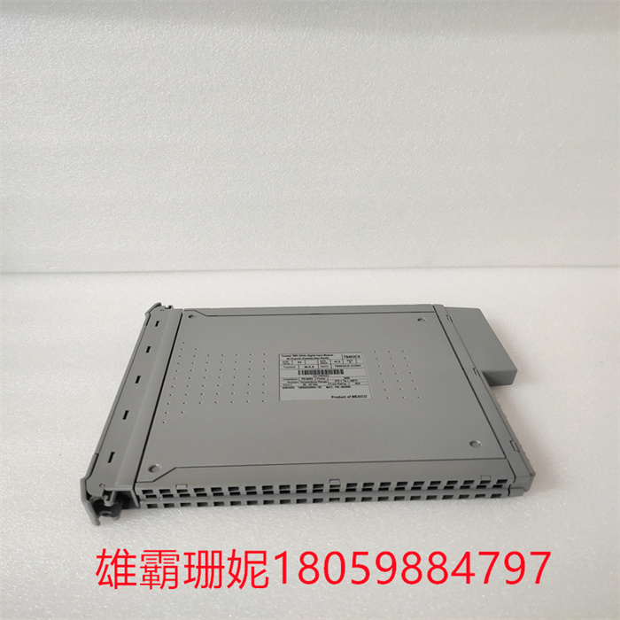 ICS TRIPLEX T8431  控制主板卡件