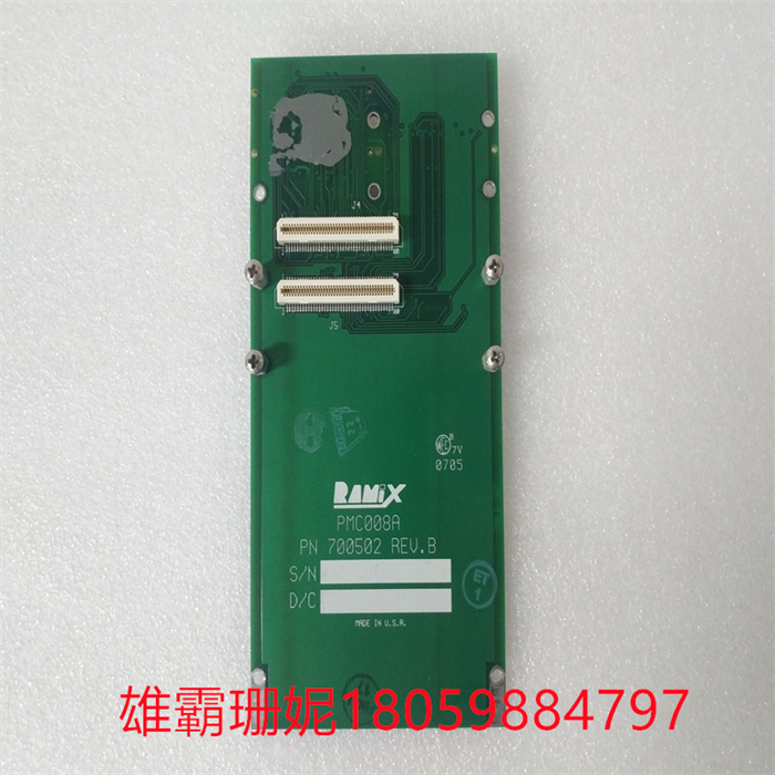 RAMIX PMC008A 700502   PLC系统 模块