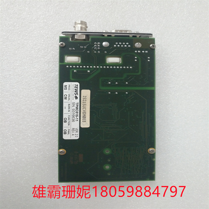 TEWS TPMC815-11 (3).jpg