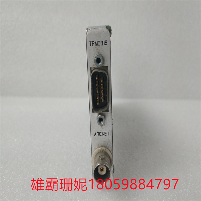 TEWS TPMC815-11 (2).jpg