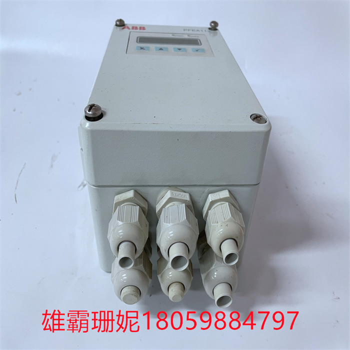 ABB PFEA112-65 3BSE030369R0065 (2).jpg