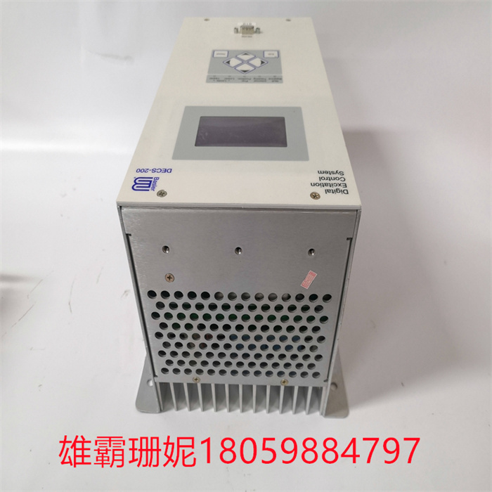 BASLER ELECTRIC DECS-200-2L(3).jpg