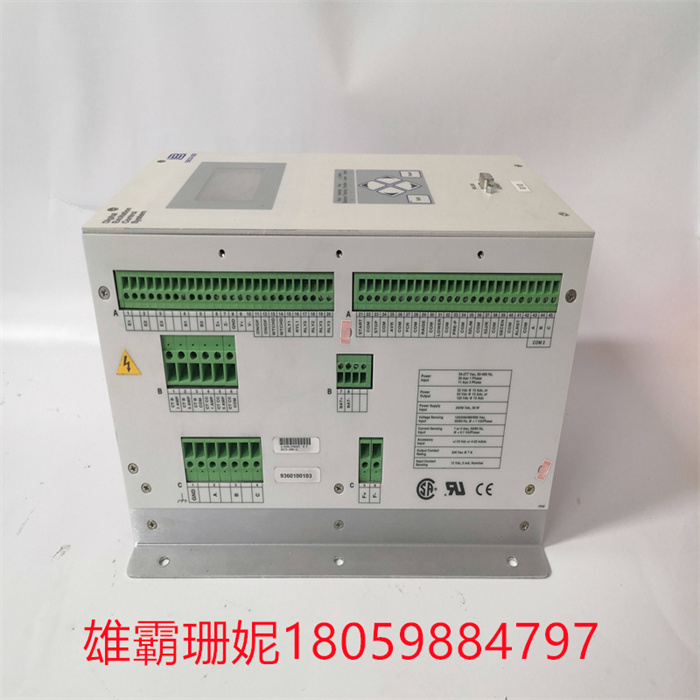 BASLER ELECTRIC DECS-200-2L(4).jpg