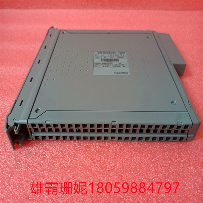 ICSTRIPLEX  T8480C  工控模块