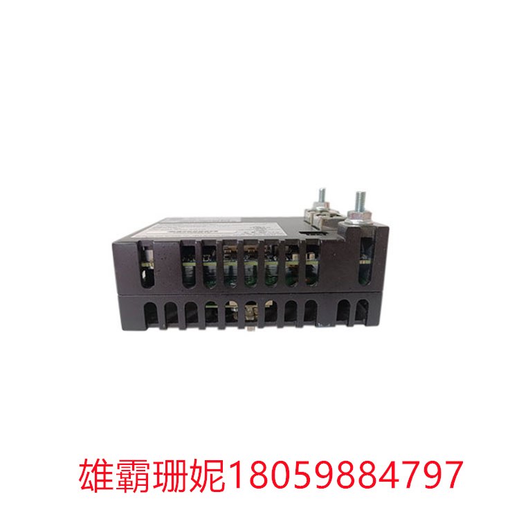 IS220PPRFH1B GE  主网关I/O模块