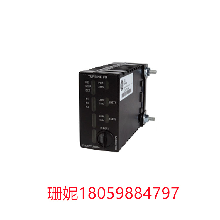 IS220PAOCH1A 有多个处理器