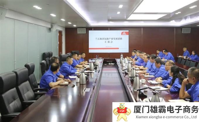 兰石集团召开氢能产业发展思路汇报会