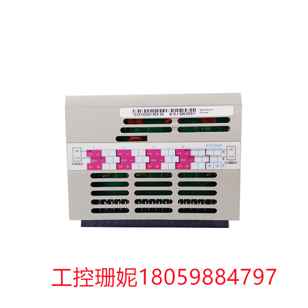1C31132G01 EMERSON 调节器模块