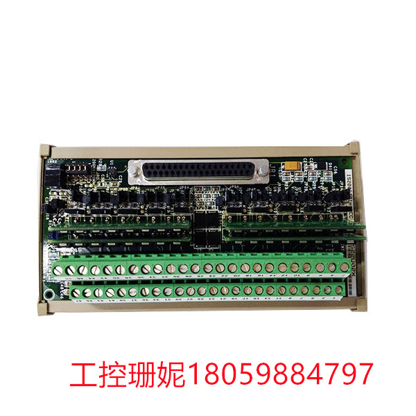 IS200DTAIH1ACC-IS210DTAOH1AA GE 终端继电器卡 紧凑型输入板
