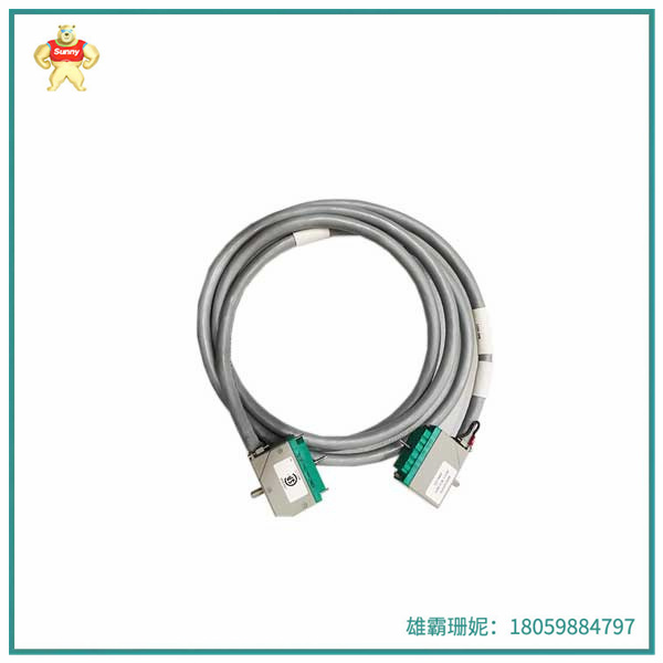 400/00/93-310 TRICONEX 输出电缆 适用于住宅，商业等