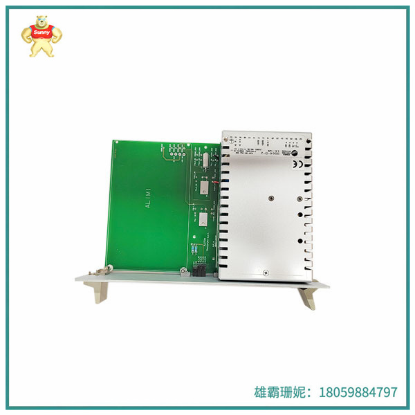 N895313512X-N95313012D  端子模块  丈量和监测电流