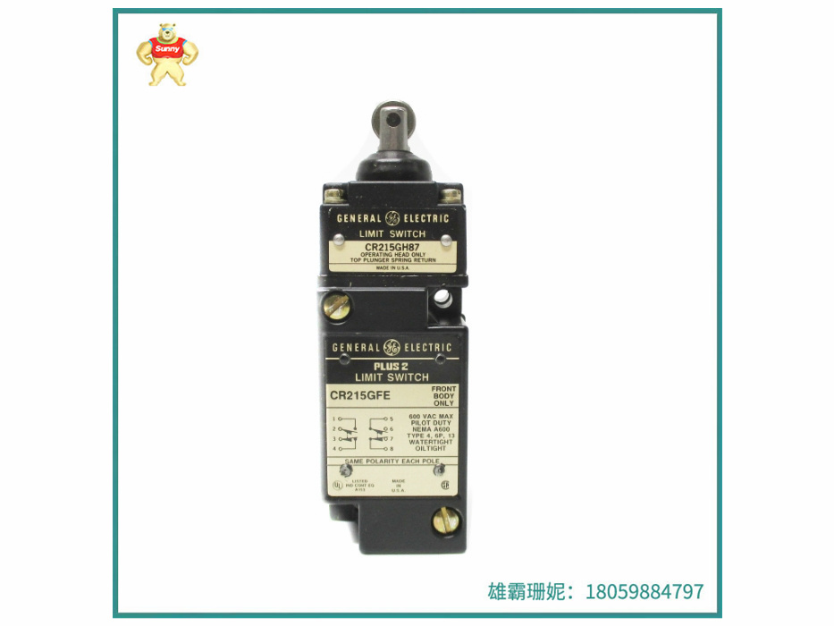 CR215GFE  微处理器   处理高达8K的模拟输入和输出