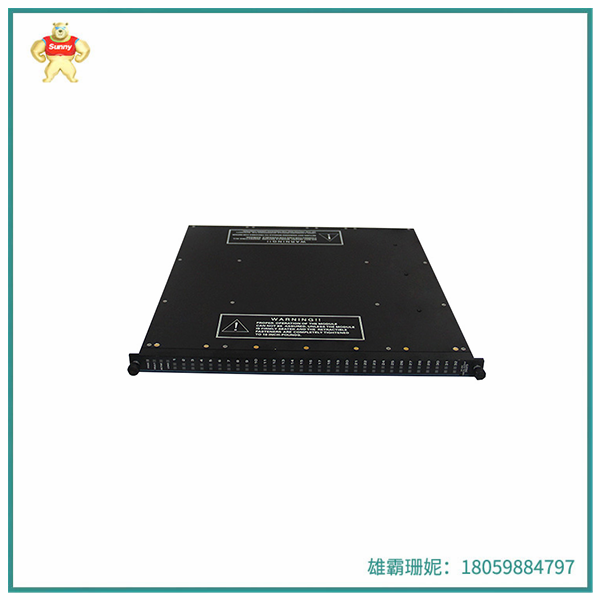 微处理器模块 用于存储程序和数据的存储器 TRICONEX-3002