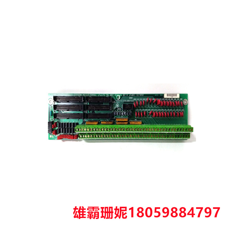 模拟终端板 DS200PCTMG1AAA  具有两个接线端子