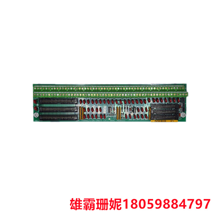 印刷电路板组件 DS200TBQDG1ACC 保护电路免受过压情况的影响