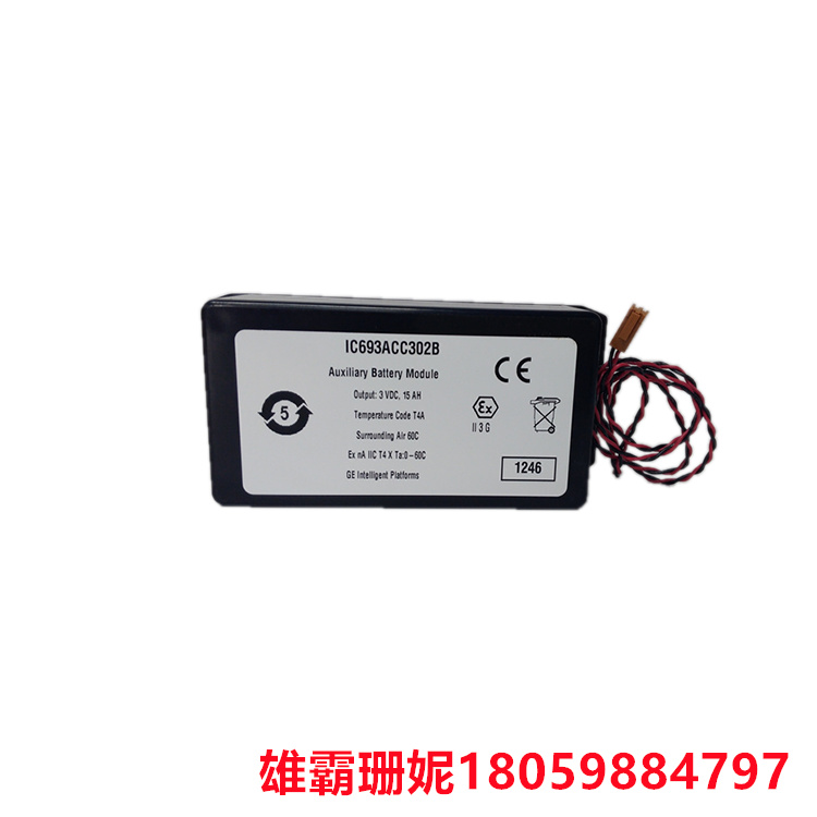 IC693ACC323B  电源模块  用于过滤直流电中的杂波和干扰信号