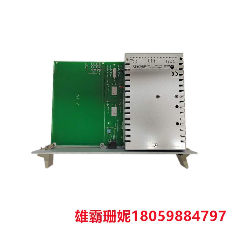 N895313512X-N95313012D  端子模块 用于产业自动化范畴
