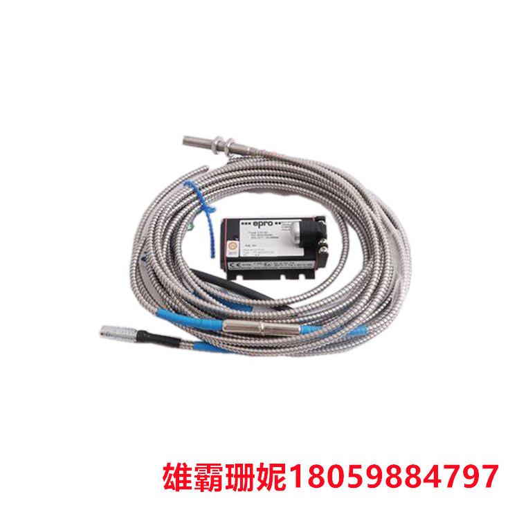 PR6423000-101-CN   温度传感器  用于测量温度的设备