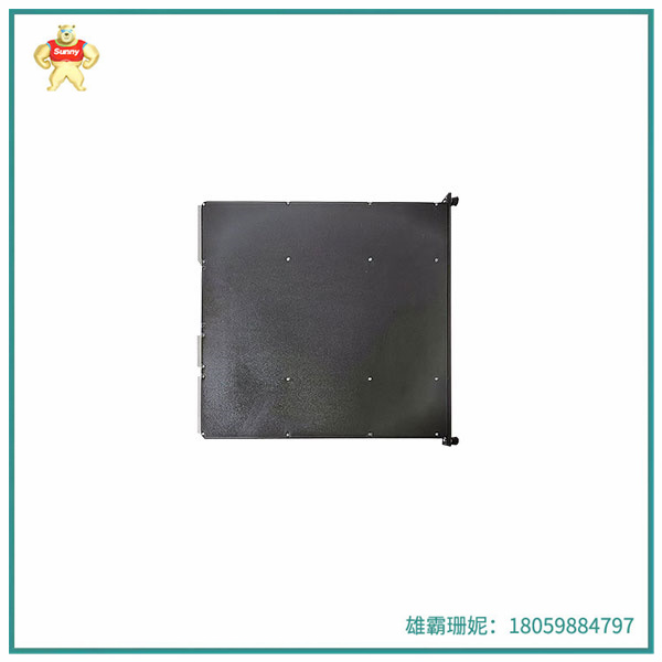 3806E  人工智能的图灵计算应用在哪些领域？金融科技？生物医药？