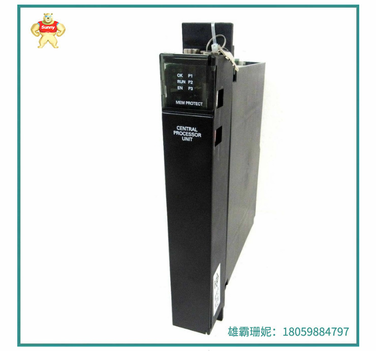 IC697CGR935 .jpg