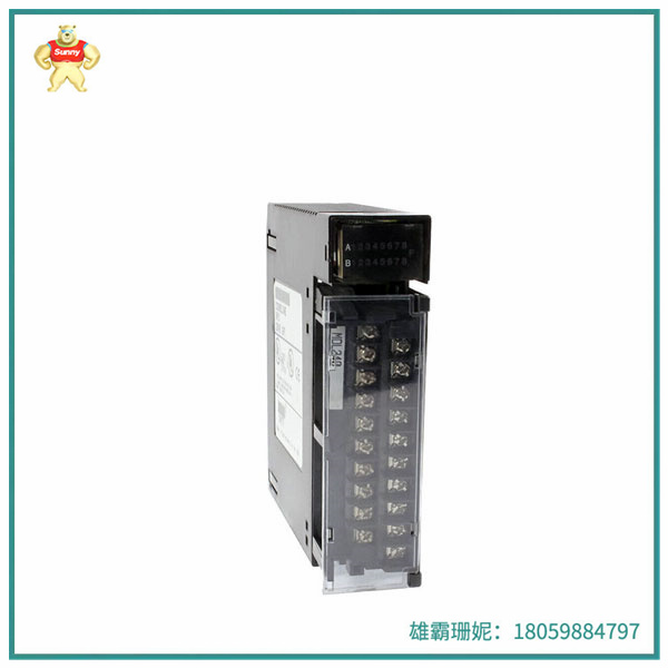 IC693MDL231  |  隔离式输入模块  IC693DNM200 | 90-30系列