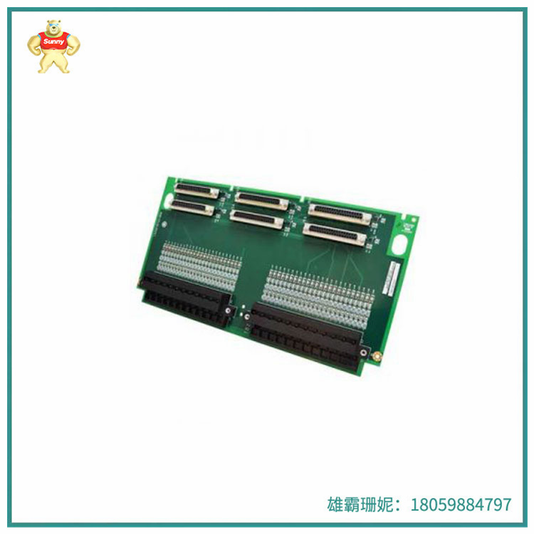 IS200TBCIS2C  |  分立式输入端子板  |  每行四个组件位于电路板的中间