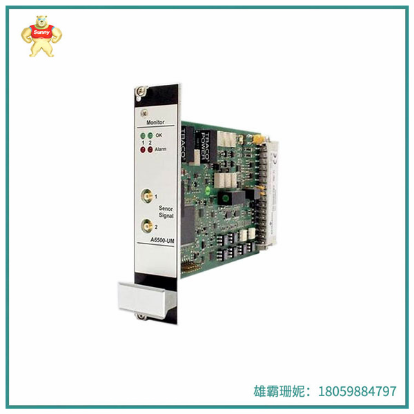 A6500-UM  | 通用型监测模块  | 用于提供给工厂中最关键旋转设备以提高可靠性